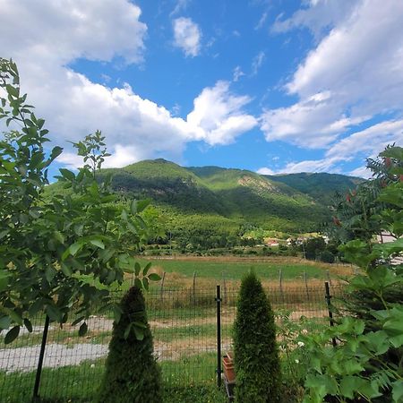 Lola Guest House Vuthaj Екстериор снимка