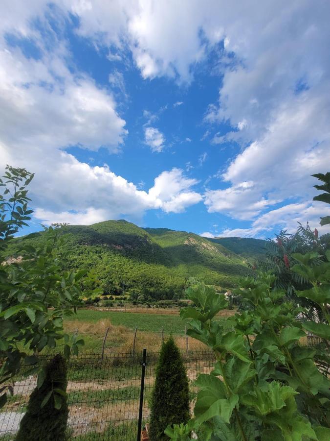 Lola Guest House Vuthaj Екстериор снимка